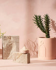 Etch Planter Salt