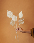 Spade Palm Fronds