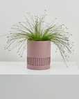 Musk Etch Planter