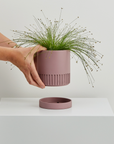 Musk Etch Planter