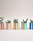 Mini Scalloped Stripy Pot