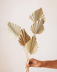 Spade Palm Fronds