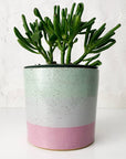 Stoneware Medium Planter
