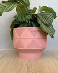 Blush Lightweight Planter Pot