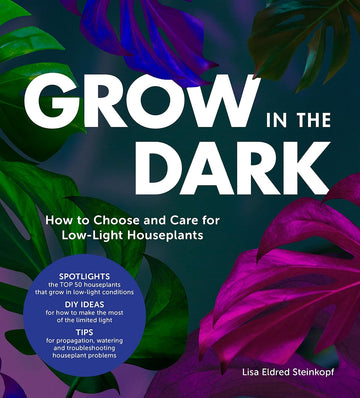 Grow in the Dark: How to Choose and Care for Low-Light Houseplants