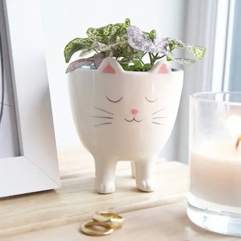 Standing Cat Planter