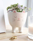 Standing Cat Planter